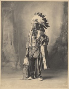 Geflecktes Pferd, des Oceti Sakowin Oyate Volkes von Adolph F. Muhr