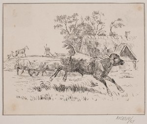 Der Hirsch von Johan Adolph Kittendorff