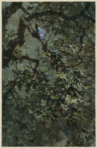 Der Blauspecht im Laub. Aus dem "Kinderalbum" von Adolph Menzel