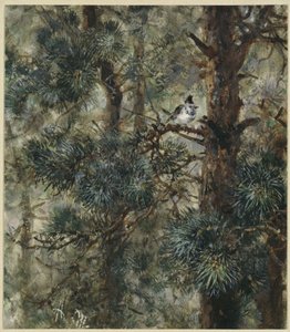 Die Haubenmeise im Kieferngeäst. Aus dem "Kinderalbum" von Adolph Menzel
