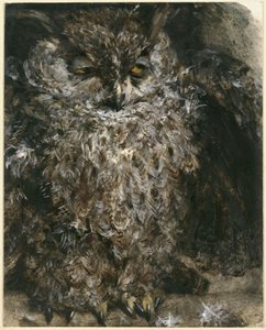 Die Ohreneule. Aus dem "Kinderalbum" von Adolph Menzel