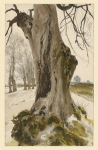 Hohler Baumstumpf, im Hintergrund eine Baumgruppe von Adolph Menzel