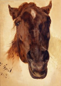 Pferdekopf von Adolph Menzel