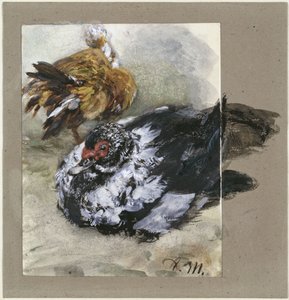 Zwei türkische Enten. Aus dem "Kinderalbum" von Adolph Menzel