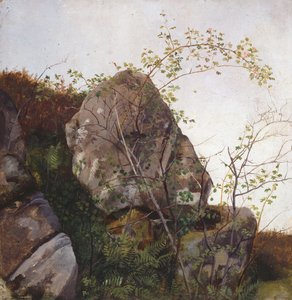  von Adolph Tidemand
