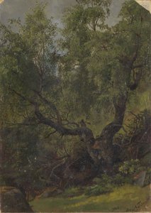  von Adolph Tidemand