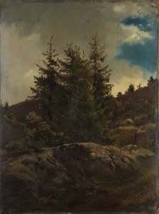  von Adolph Tidemand