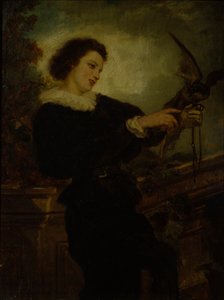 Der Falkner