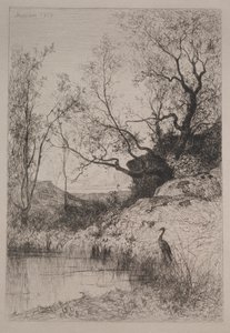 Ein Teich