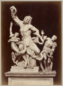 Der Laokoon im Vatikanischen Museum von Adolphe Braun