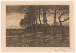 Landschaft mit Bäumen