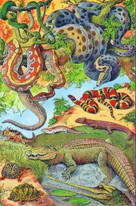 Illustration von Reptilien, ca. 1923 von Adolphe Philippe Millot