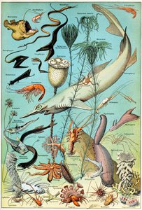 Illustration einer Tiefsee-Unterwasserszene, ca. 1923