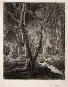 Wald von Pierrefonds