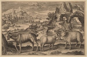 Eine Ziege, ein Mutterschaf und ein Widder von Adriaen Collaert