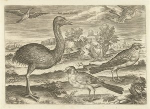 Enkele vogels in een landschap von Adriaen Collaert