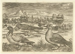 Einige Vögel in einer Landschaft