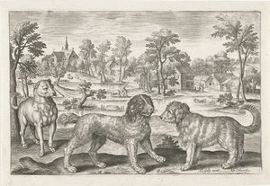 Hunde