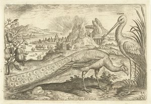 Zwei Vögel in einer Landschaft
