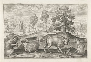 Verschiedene Tiere (Vierpotige dieren, Animalivm Qvaddrvpedvm)
