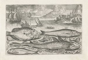Vier Fische am Strand Fische (Serientitel) Piscivm vivae icones (Serientitel)