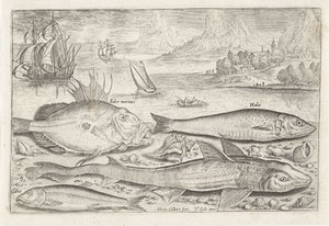 Vier Fische am Strand
Fische (Serientitel)
Piscivm vivae icones (Serientitel)
