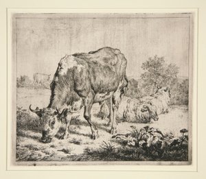 Le Boeuf Pie et les trois moutons