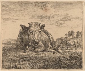 Liegende Kuh