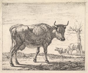 Drei Kühe von Adriaen van de Velde