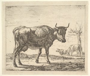 Drei Kühe, aus Verschiedene Tiere von Adriaen van de Velde