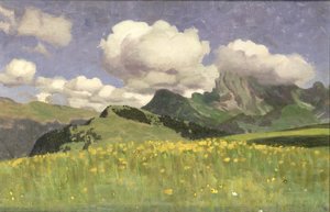 Ein Feld von Ringelblumen, Untere Alpen, 1902 von Adrian Scott Stokes