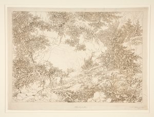 Landschaft