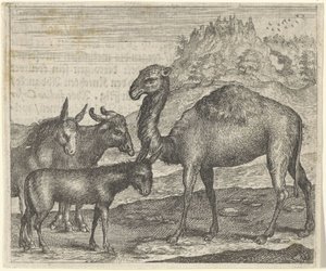 Fabel vom Esel, Büffel, Kamel und Maultier von Egidius  Sadeler (II)