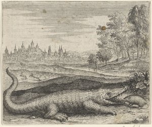 Fabel vom Krokodil und Mungo