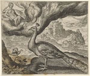 Fabel vom Pfau und der Nachtigall von Egidius  Sadeler (II)