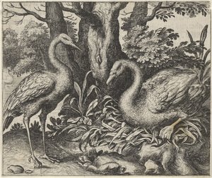 Fabel vom Schwan und dem Storch