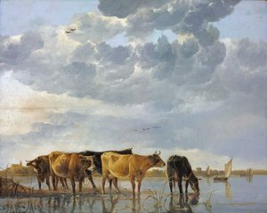 Rinder im Wasser von Aelbert Cuyp