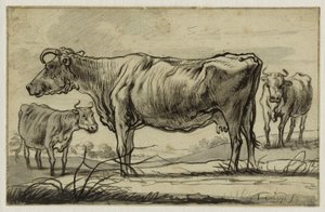 Trois vaches au pâturage von Aelbert Cuyp
