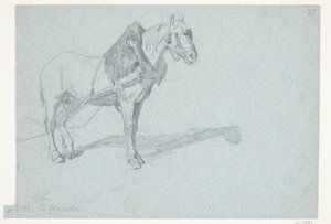 Ein Pferd von Agnes Lunn
