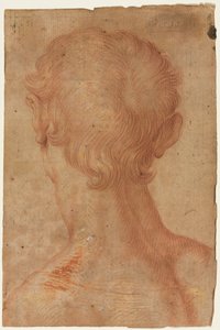 Männerkopf von hinten von Agnolo Bronzino