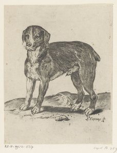 Stehender Hund