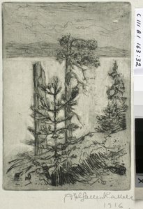 Landschaft am See von Akseli Gallen-Kallela