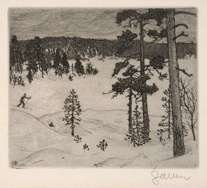 Der dunkle Schleier des Winters von Akseli Gallen-Kallela