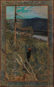 Der große Schwarzspecht von Akseli Gallen-Kallela
