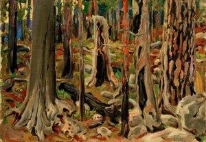 Der verbrannte Wald