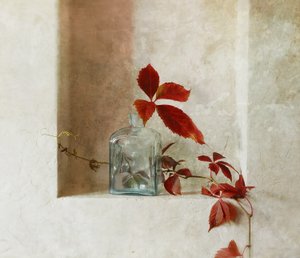 Friedliche Herbstnische von Ala Pneuma