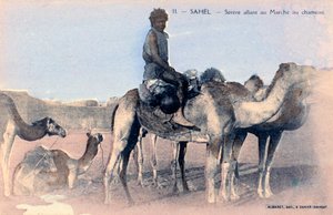 Serere, die Sahelzone, Senegal, 20. Jahrhundert von Albaret