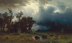Büffelpfad: Der drohende Sturm