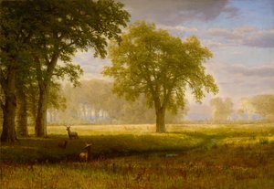 Elche im Eichenhain (Tuolumne Meadows) von Albert Bierstadt