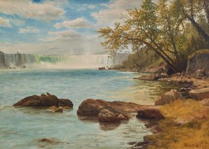 Niagarafälle mit Terrapin Tower, ca. 1869 von Albert Bierstadt